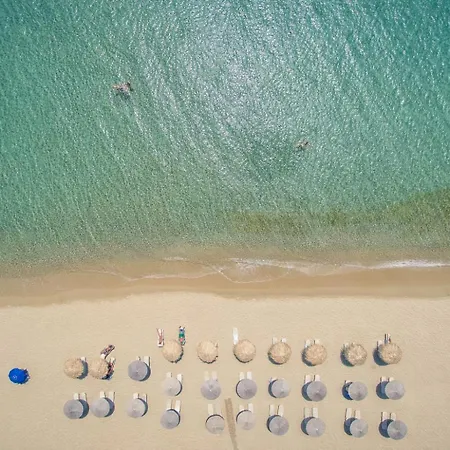 Lithia Exclusive Πλάκα