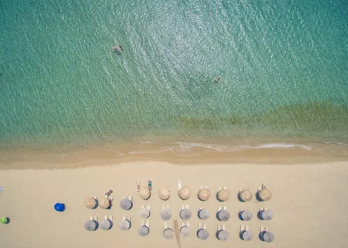 Lithia Exclusive Πλάκα